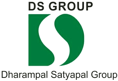 DS Group